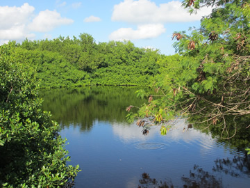 Laguna Bávaro